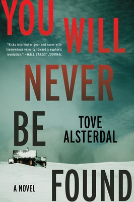 You Will Never Be Found: A Mystery Novel (The High Coast Series, 2)