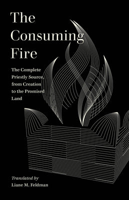 The Consuming Fire (The Interdependency, 2)