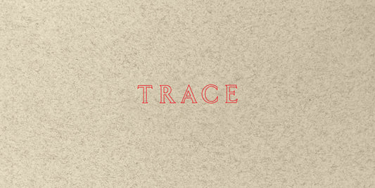 Jenny Holzer: Trace