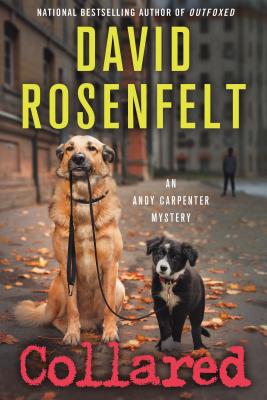 Collared: An Andy Carpenter Mystery (An Andy Carpenter Novel, 15)