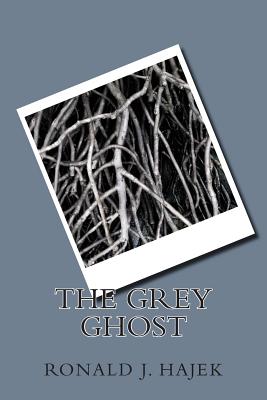 The Grey Ghost: A Novel of Suspense