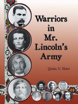 Warriors in Mr. Lincoln's Army