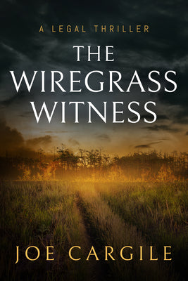 The Wiregrass Witness (Blake County Legal Thrillers)