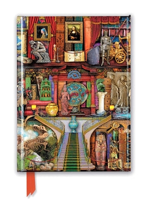 Aimee Stewart: Museum Bookshelves (Foiled Journal) (Flame Tree Notebooks)